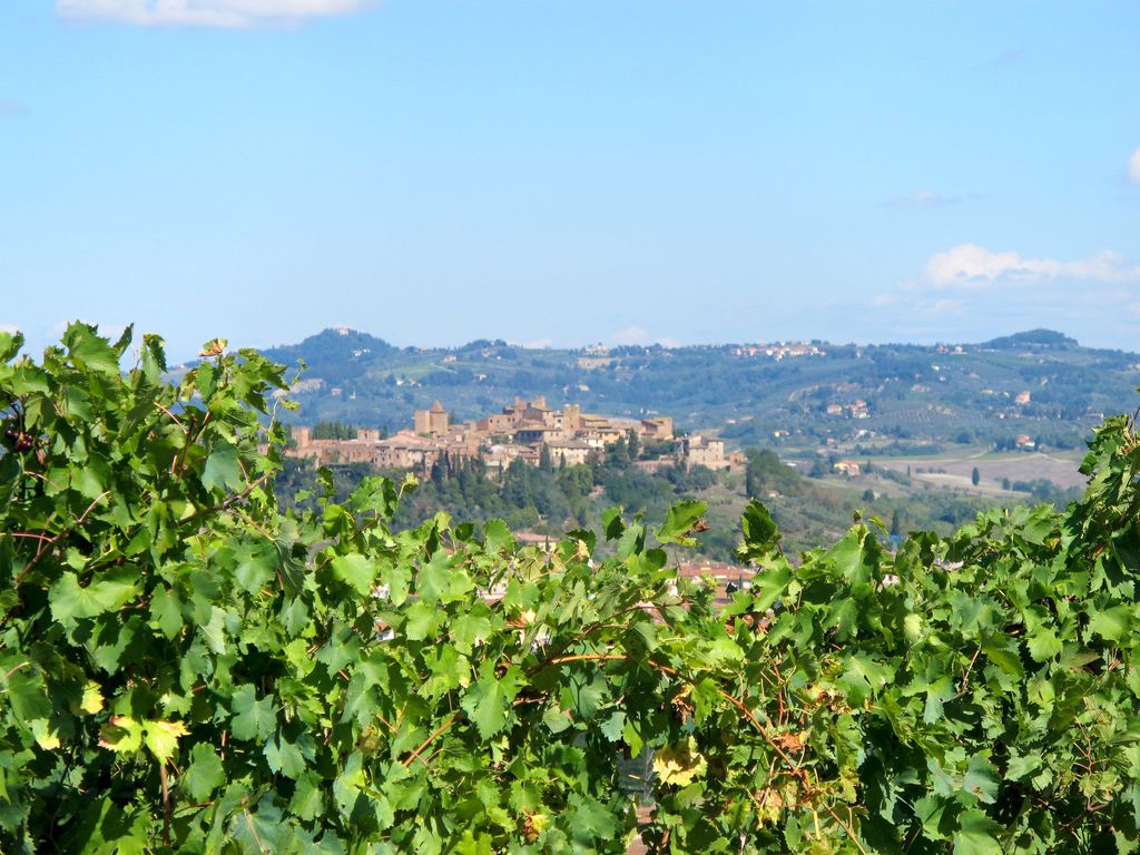 Quercitella