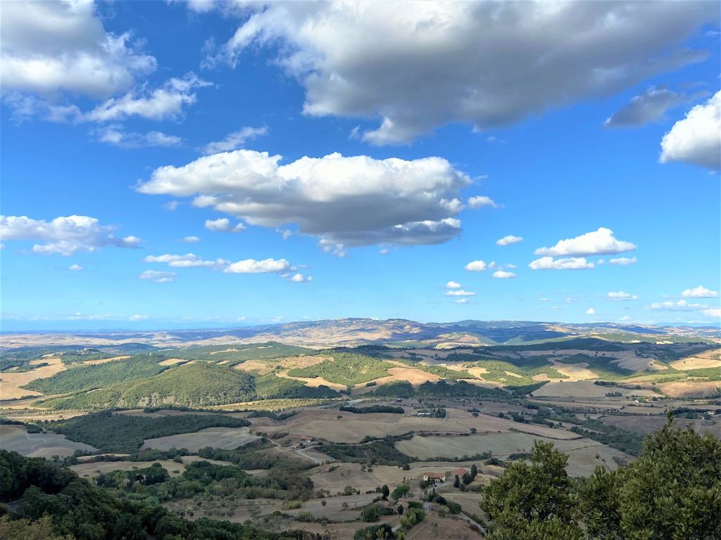 Il Sorbo