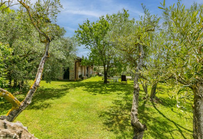 Bild 11