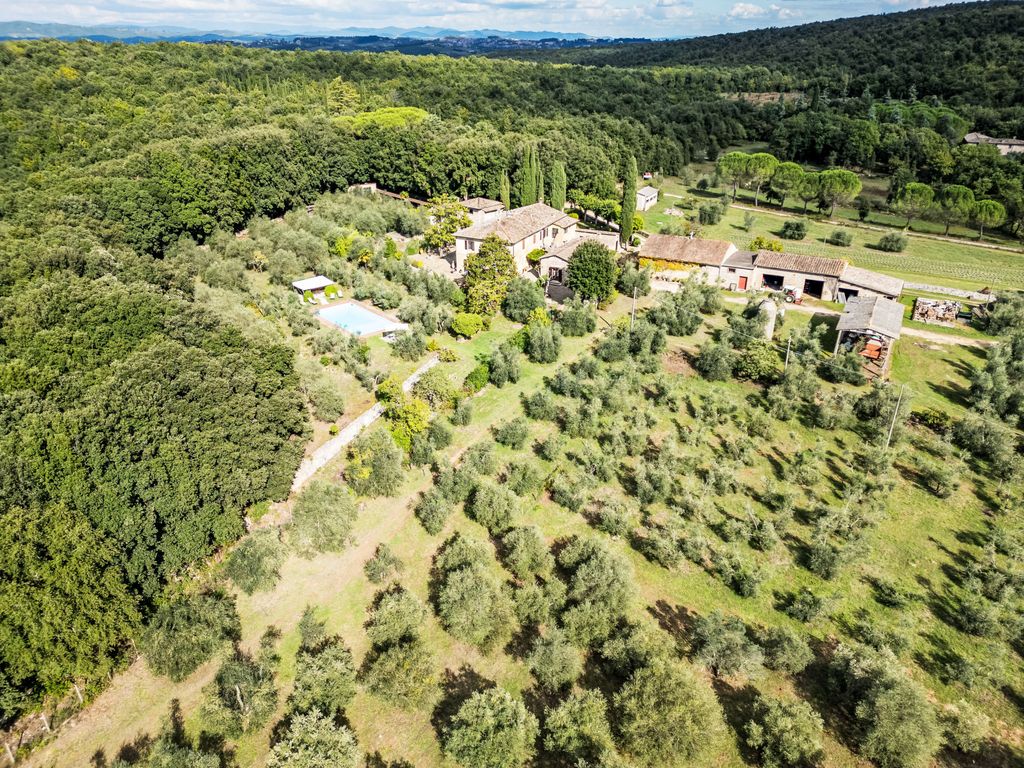 Triangolo