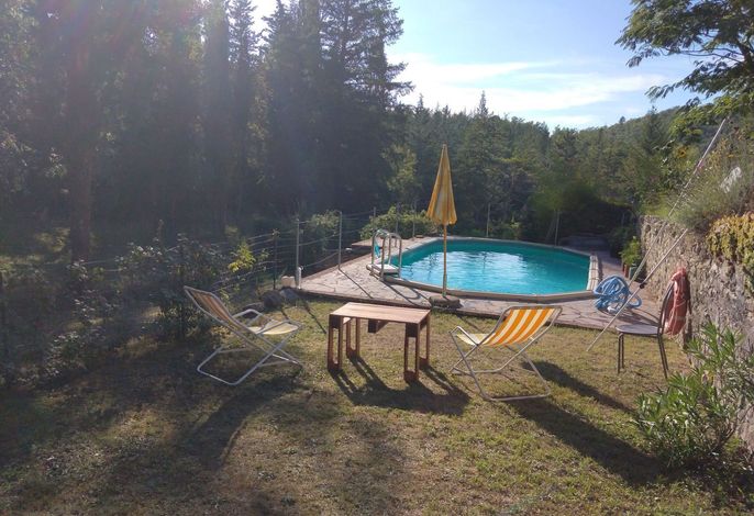 Bild 19