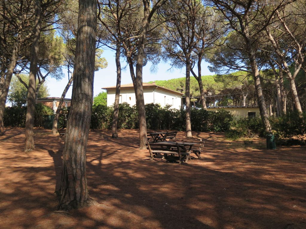 Palazzeta III