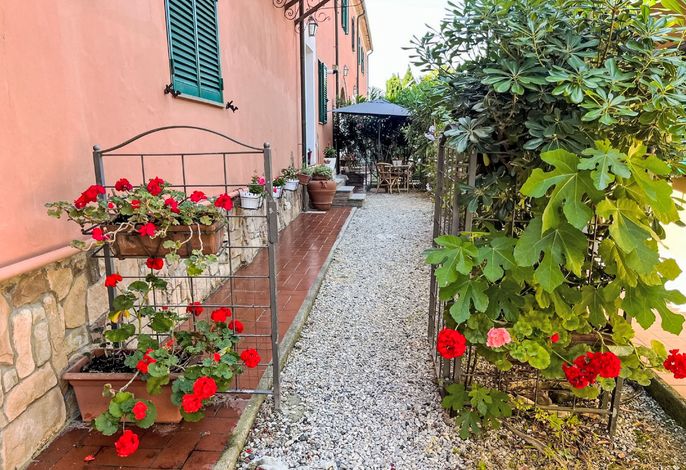 Fattoria Palazzeta – Foto 2