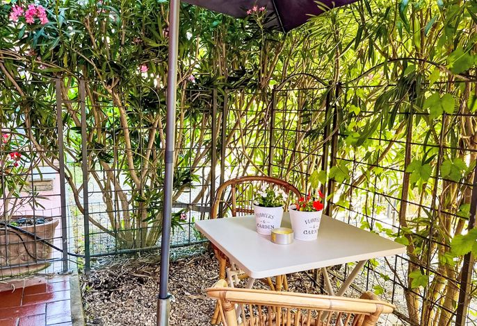 Fattoria Palazzeta – Foto 5