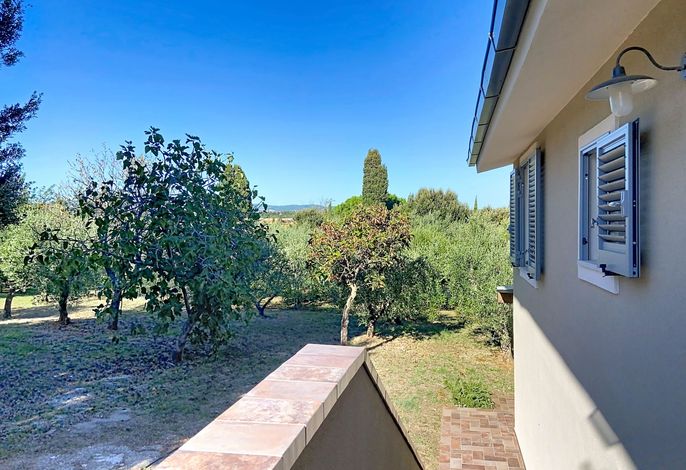 Linaglia – Foto 5