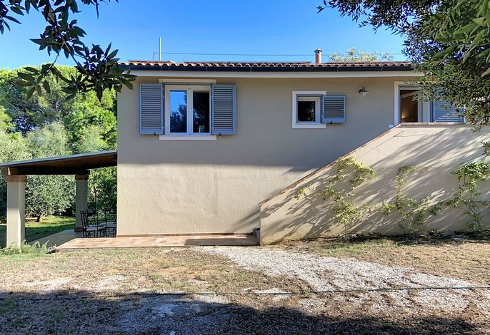 Linaglia – Foto 4