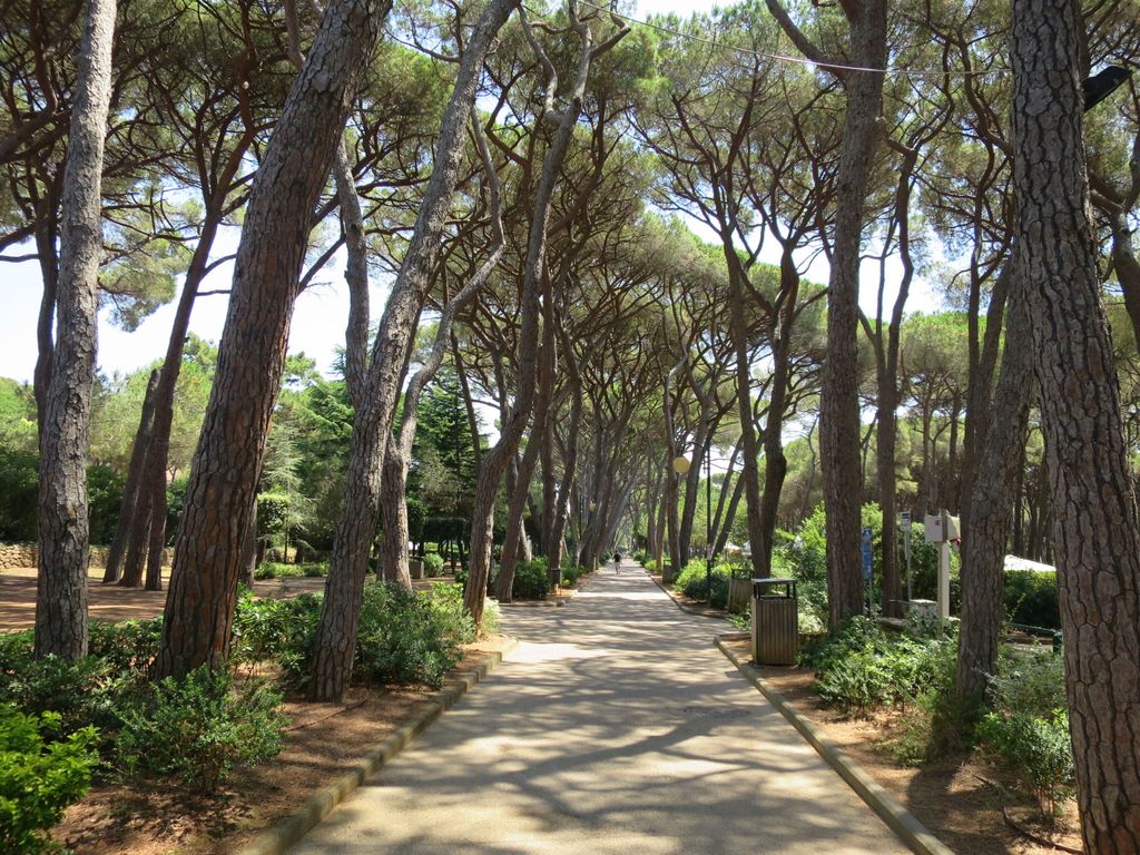 Al mare
