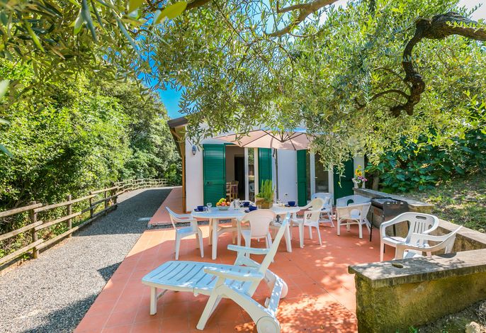 Podere gli Olivi
