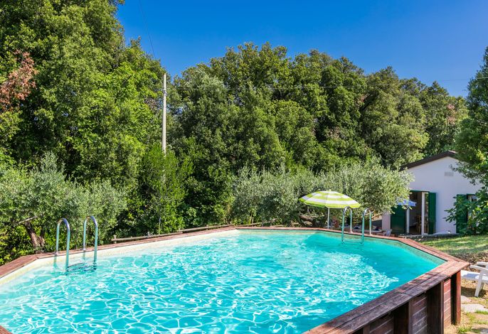 Podere gli Olivi – Foto 2