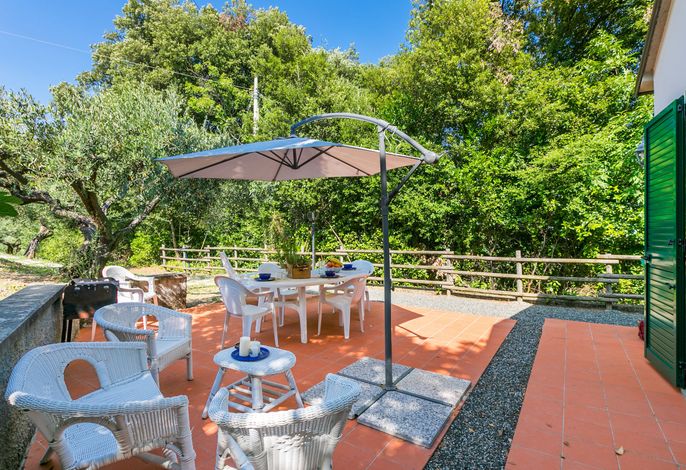 Podere gli Olivi – Foto 5