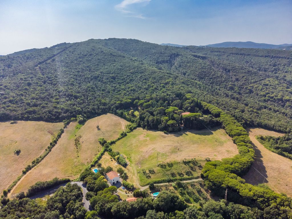 Podere gli Olivi