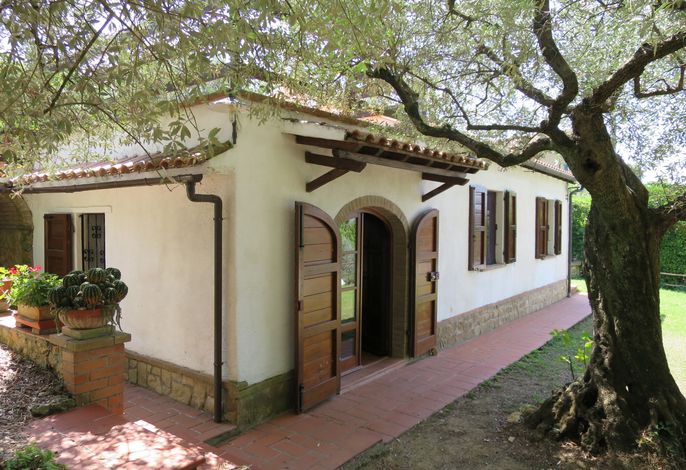Ulivo
