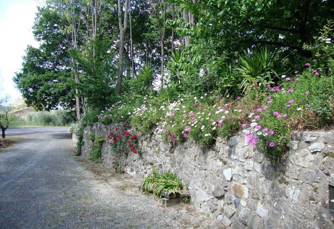 Bild 14