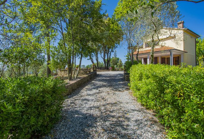 Montaleo 2