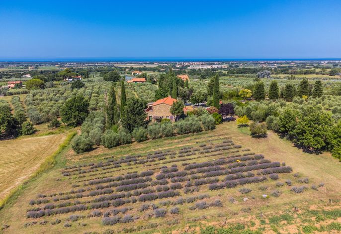 Tramontana – Foto 2