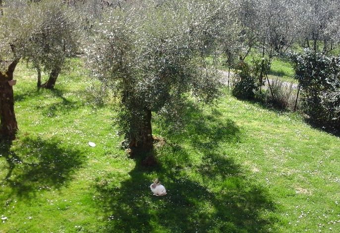 Bild 11