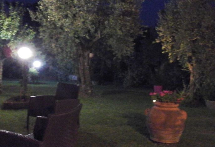 Bild 12