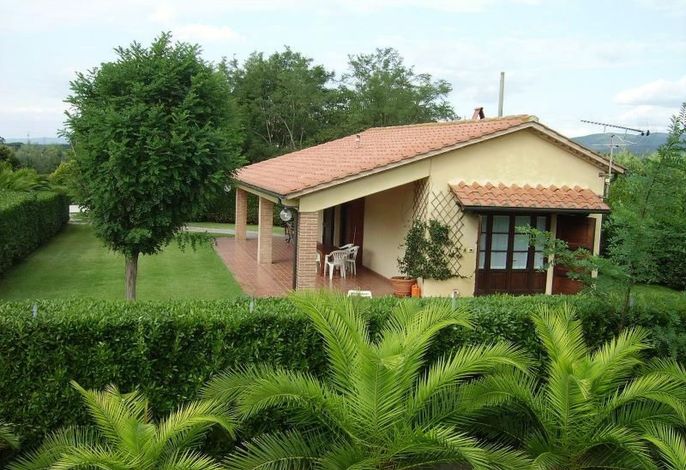 Bild 12