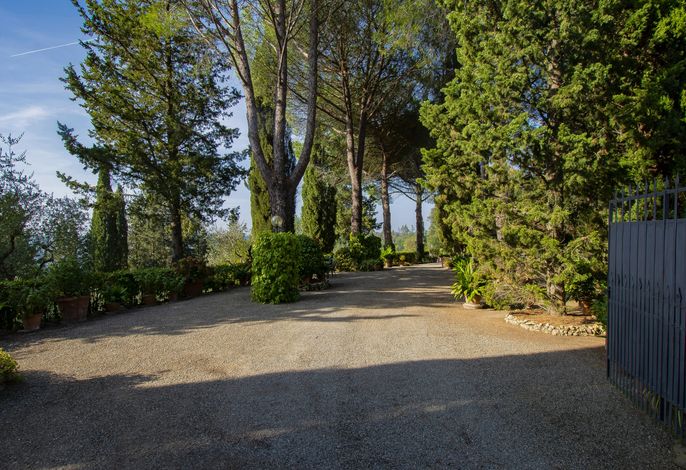 Bild 11