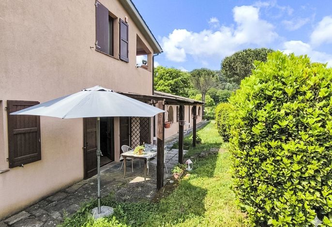 Corbezzolo