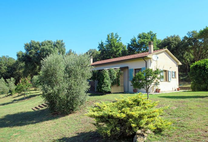 Oca – Foto 2