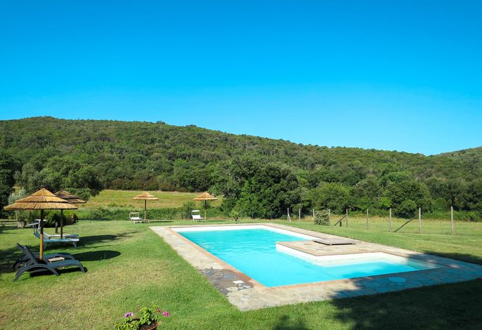 Oca – Foto 3