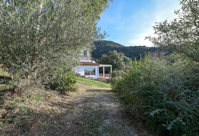Bild 14