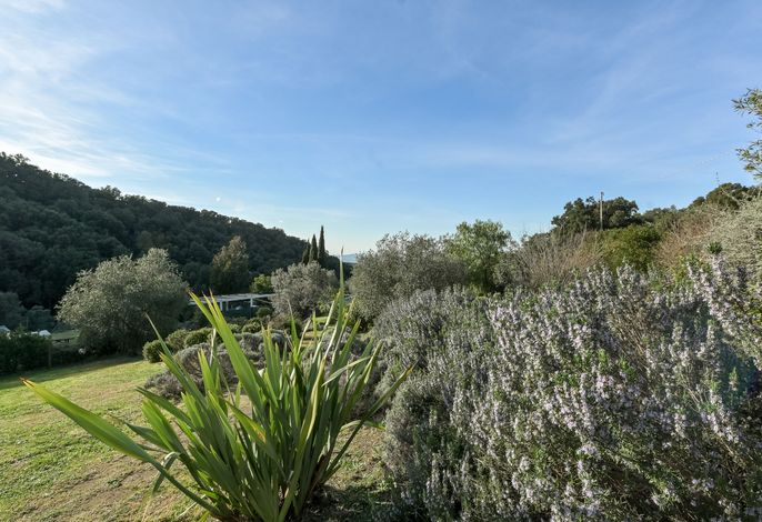 Bild 13