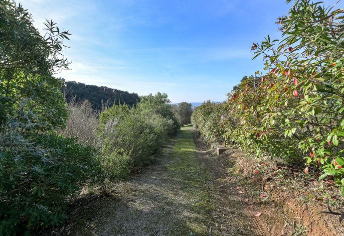 Bild 15