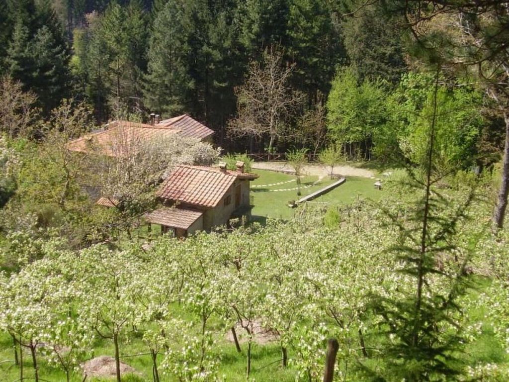 Appartement mit Grill, gemeinsamem Pool und Garten