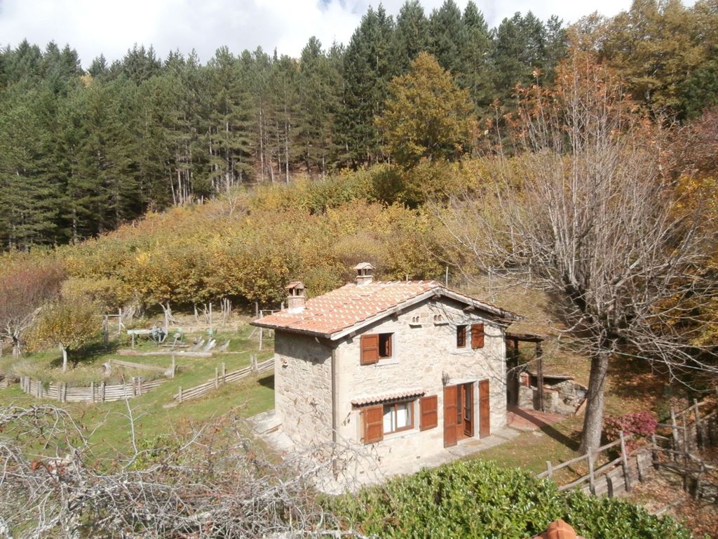 Appartement mit Grill, gemeinsamem Pool und Garten