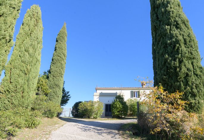 Bild 12