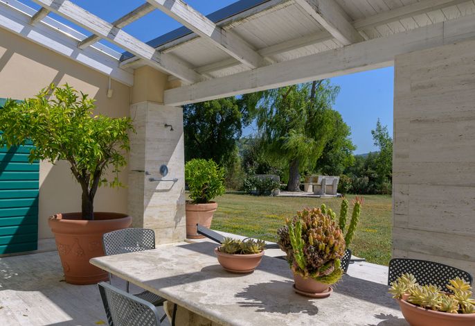 Bild 36