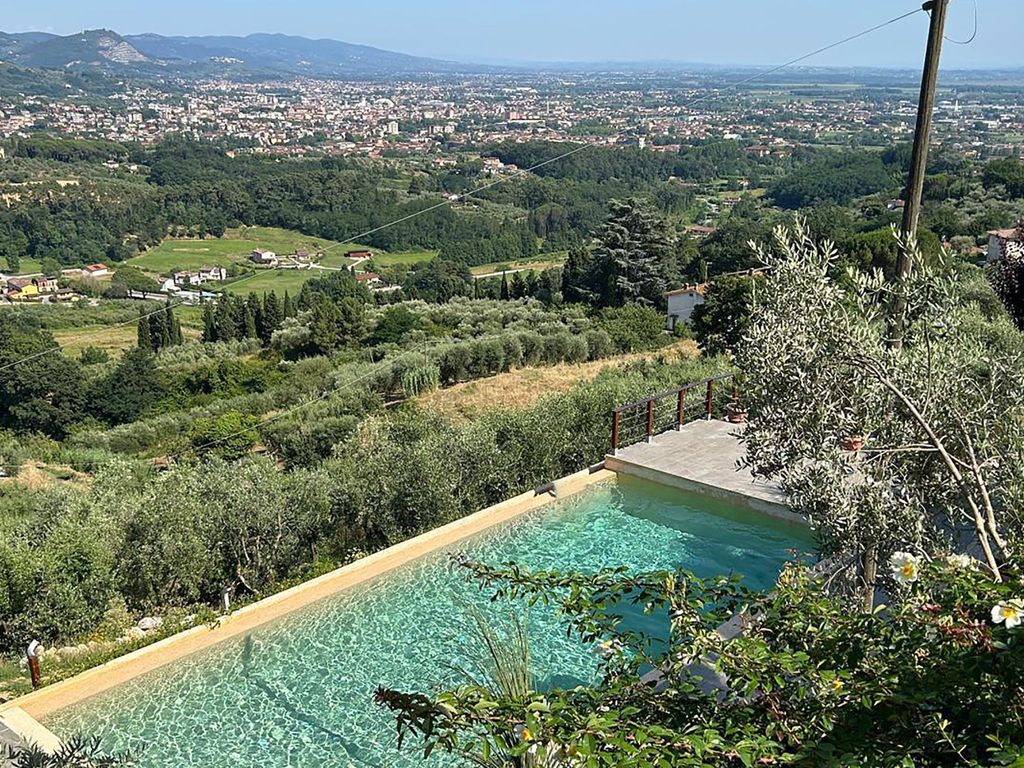 Panorama