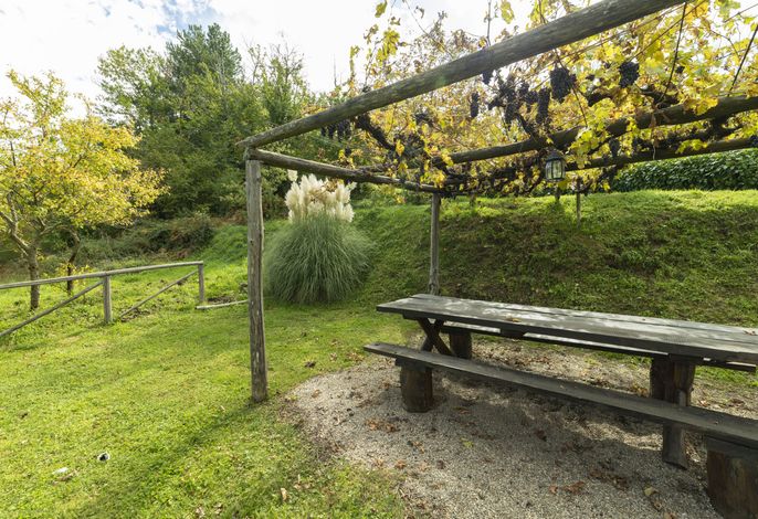 Bild 15