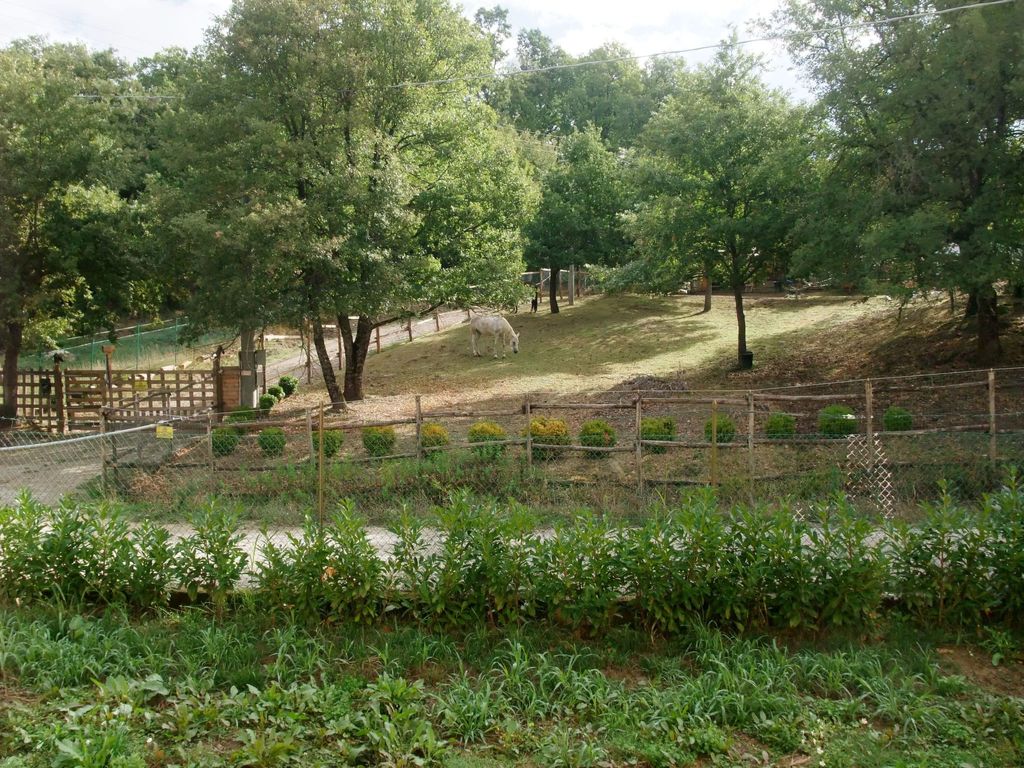 Freistehendes Haus mit Garten zur alleinigen Nutzung