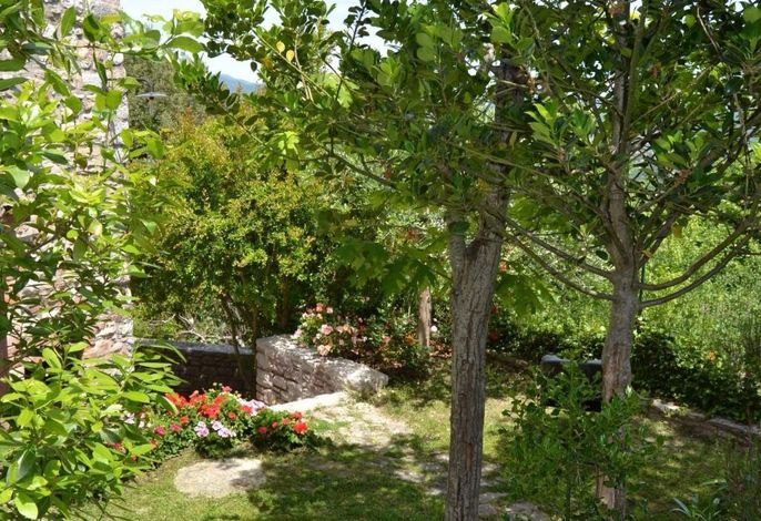 Bild 19