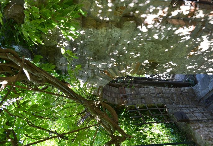 Bild 41