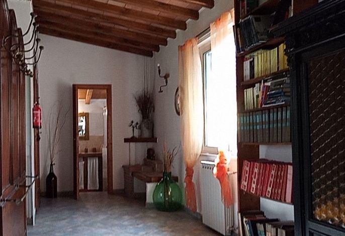 Bild 14