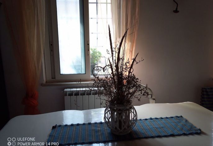 Bild 19