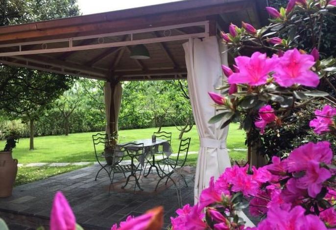 Bild 12