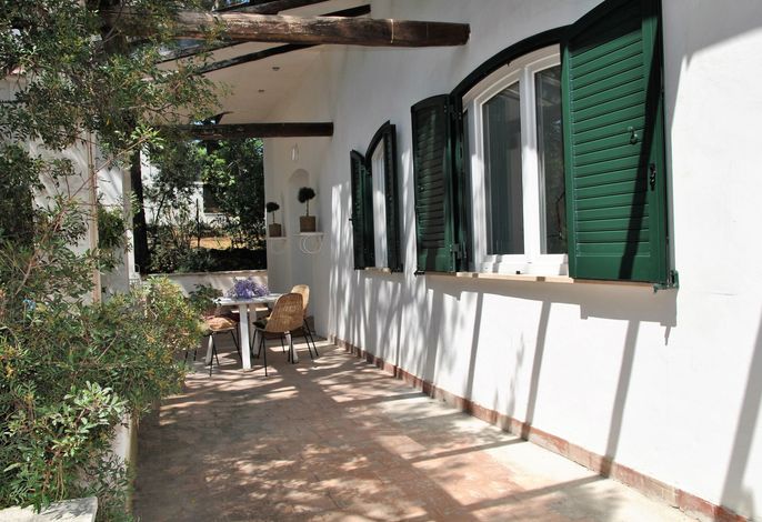 Bild 12