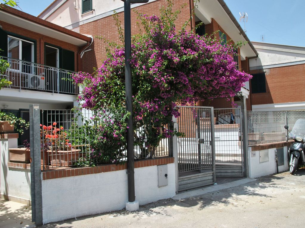 Bouganville