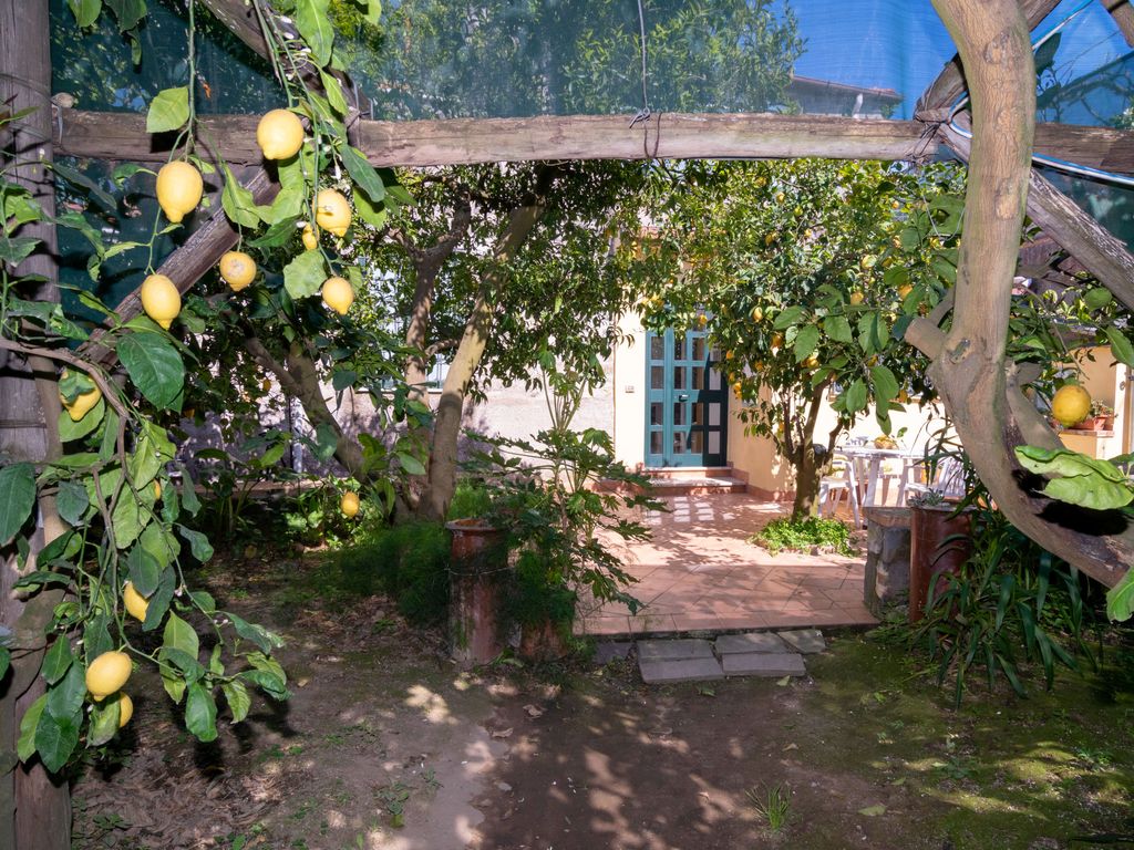 Il Montano
