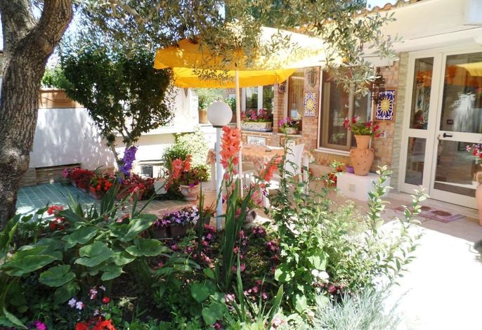 Bild 9