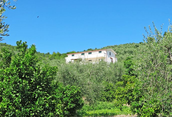 Bild 14