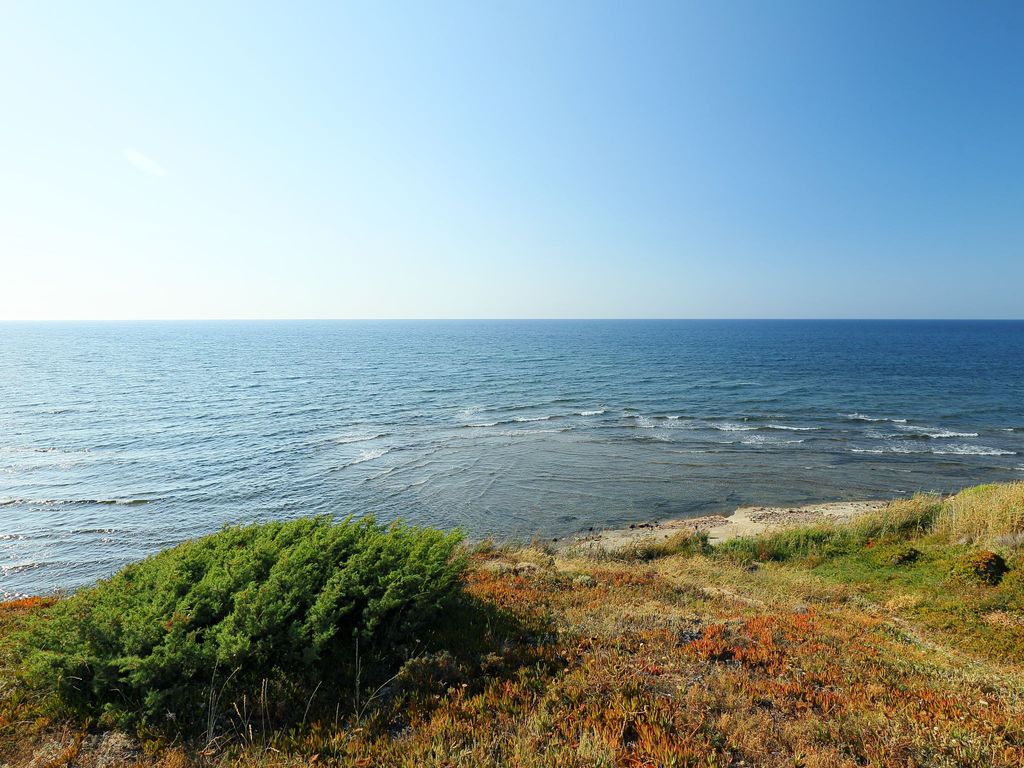 Limette 2