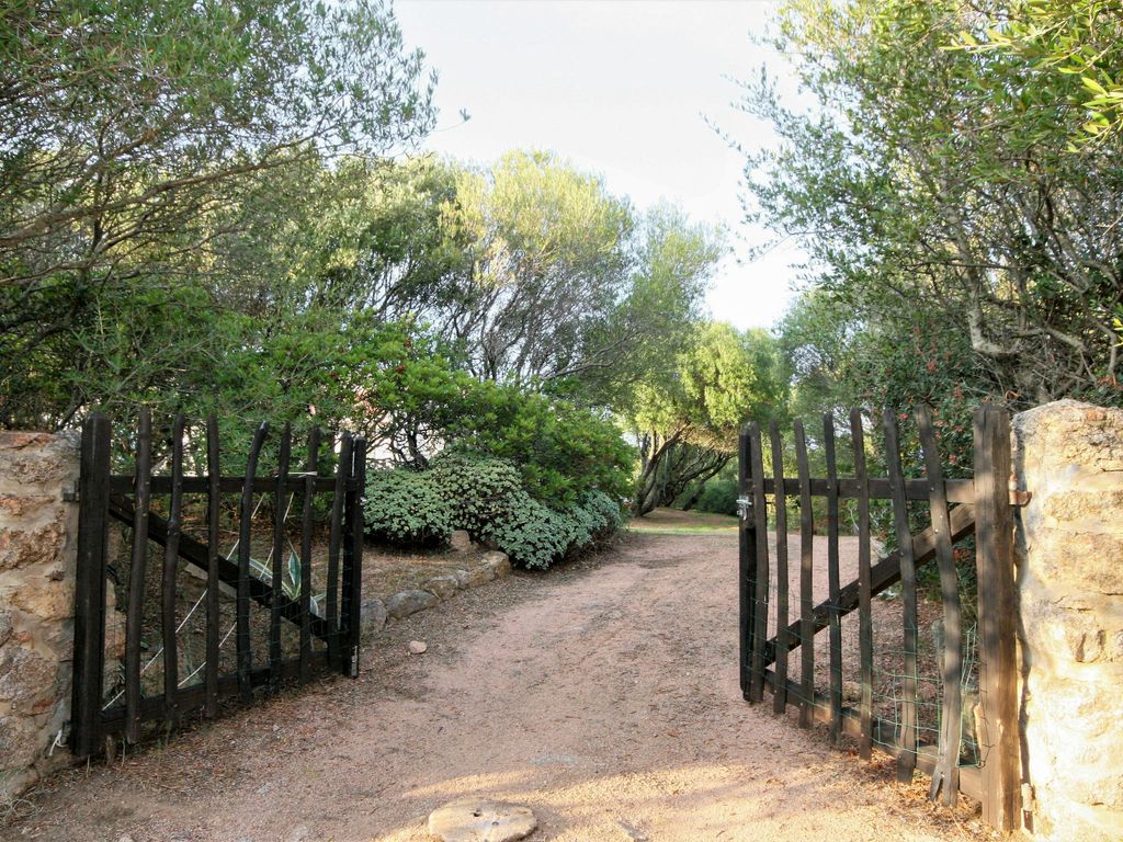 Contraruia