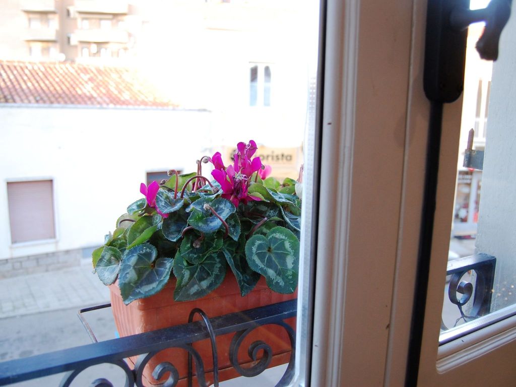 Gemütliche Zimmer im Herzen von Olbia
