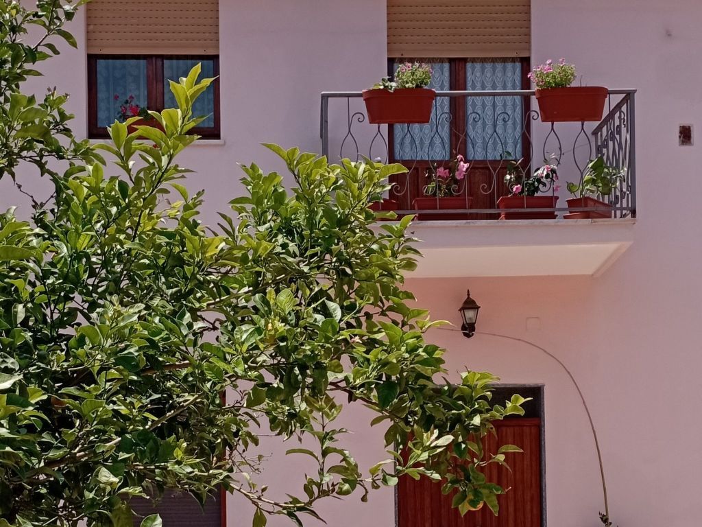 mit Terrasse